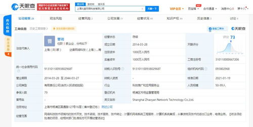 計(jì)算機(jī)系統(tǒng)集成 構(gòu)建高效信息生態(tài)的關(guān)鍵路徑
